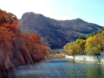 2025澳门正版免费全年资料大全旅游团警惕虚假宣传-全面释义、解释与落实